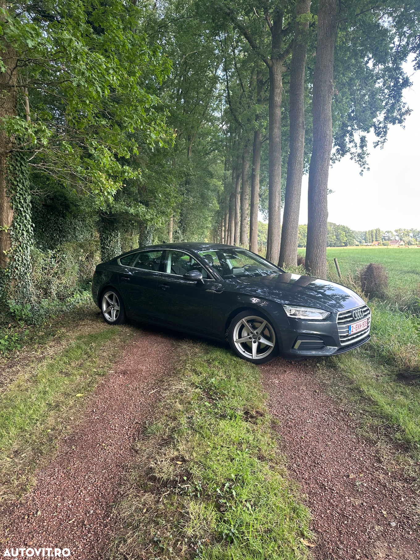 Audi A5 Sportback 2.0 TDI S tronic Design - 2