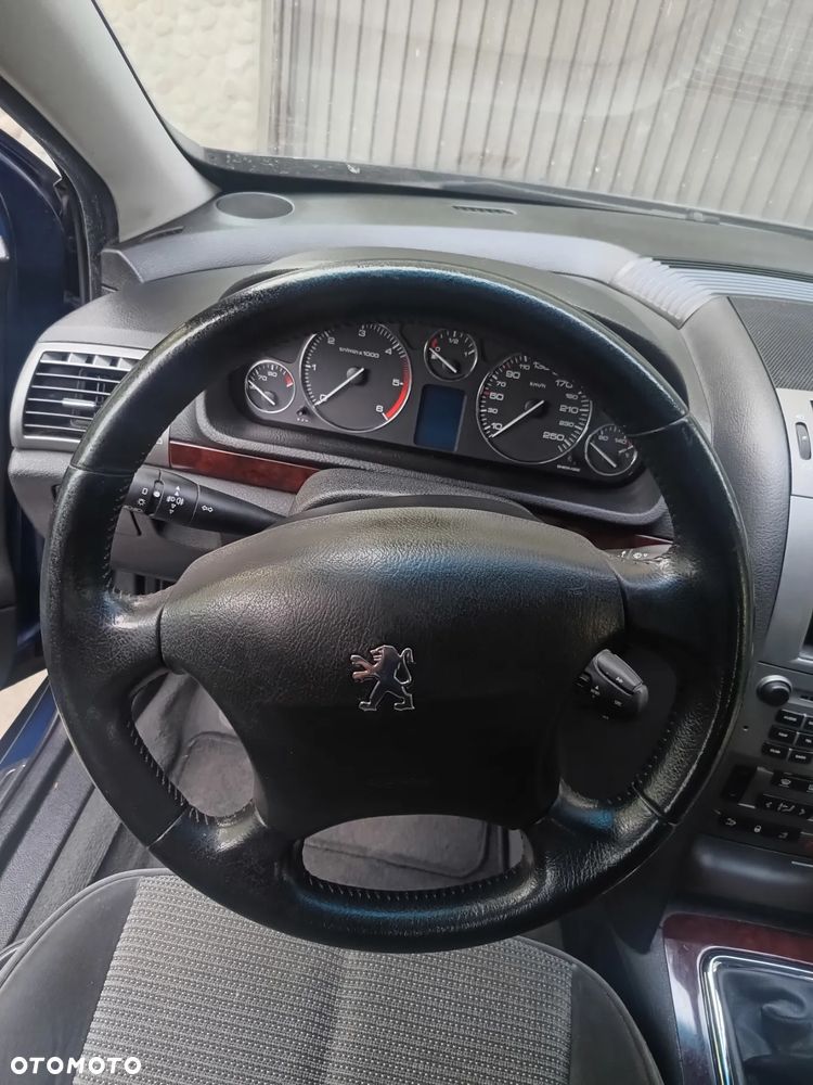 Peugeot 407 - 15