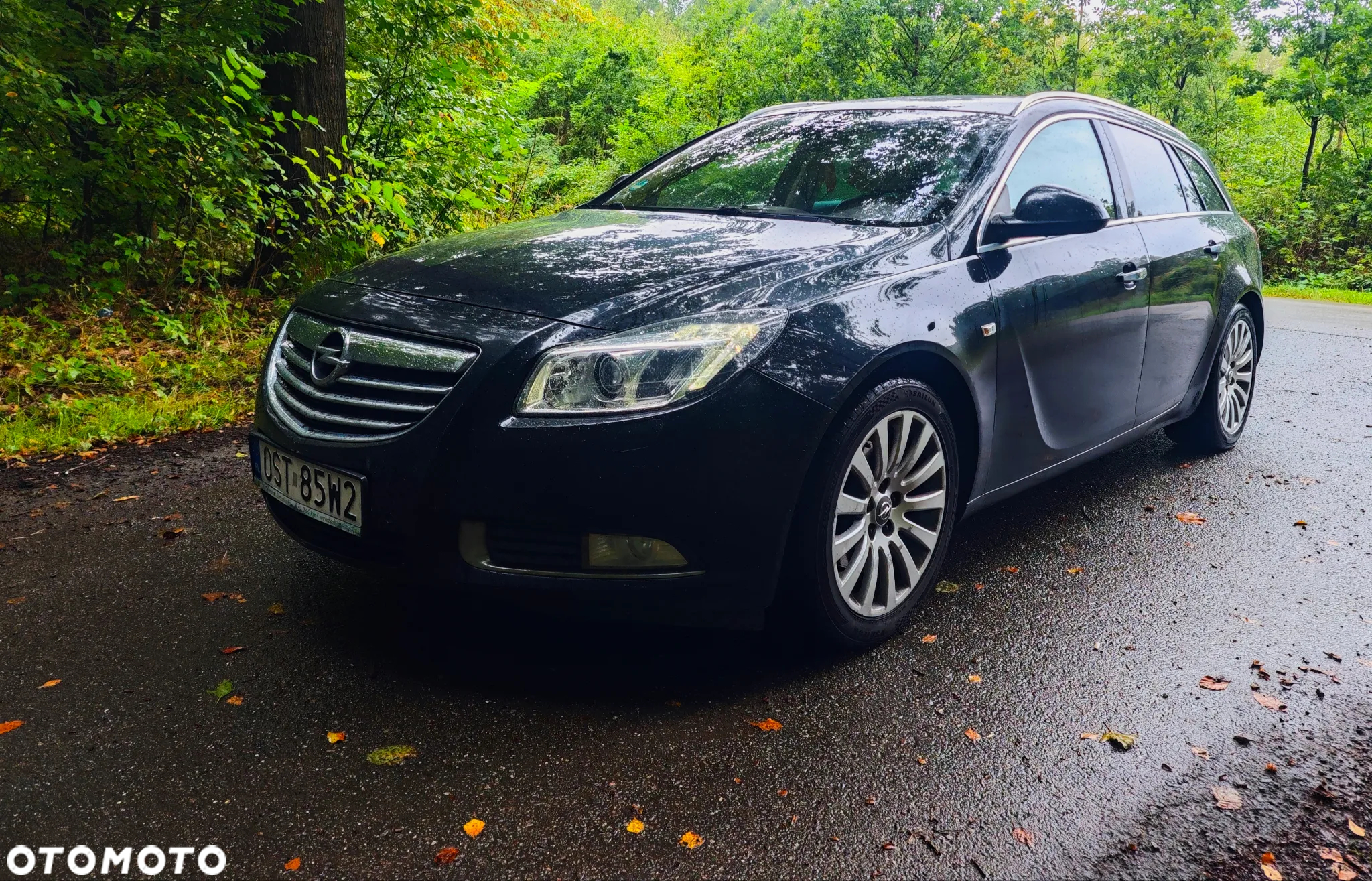 Opel Insignia 2.0 CDTI Cosmo - 2