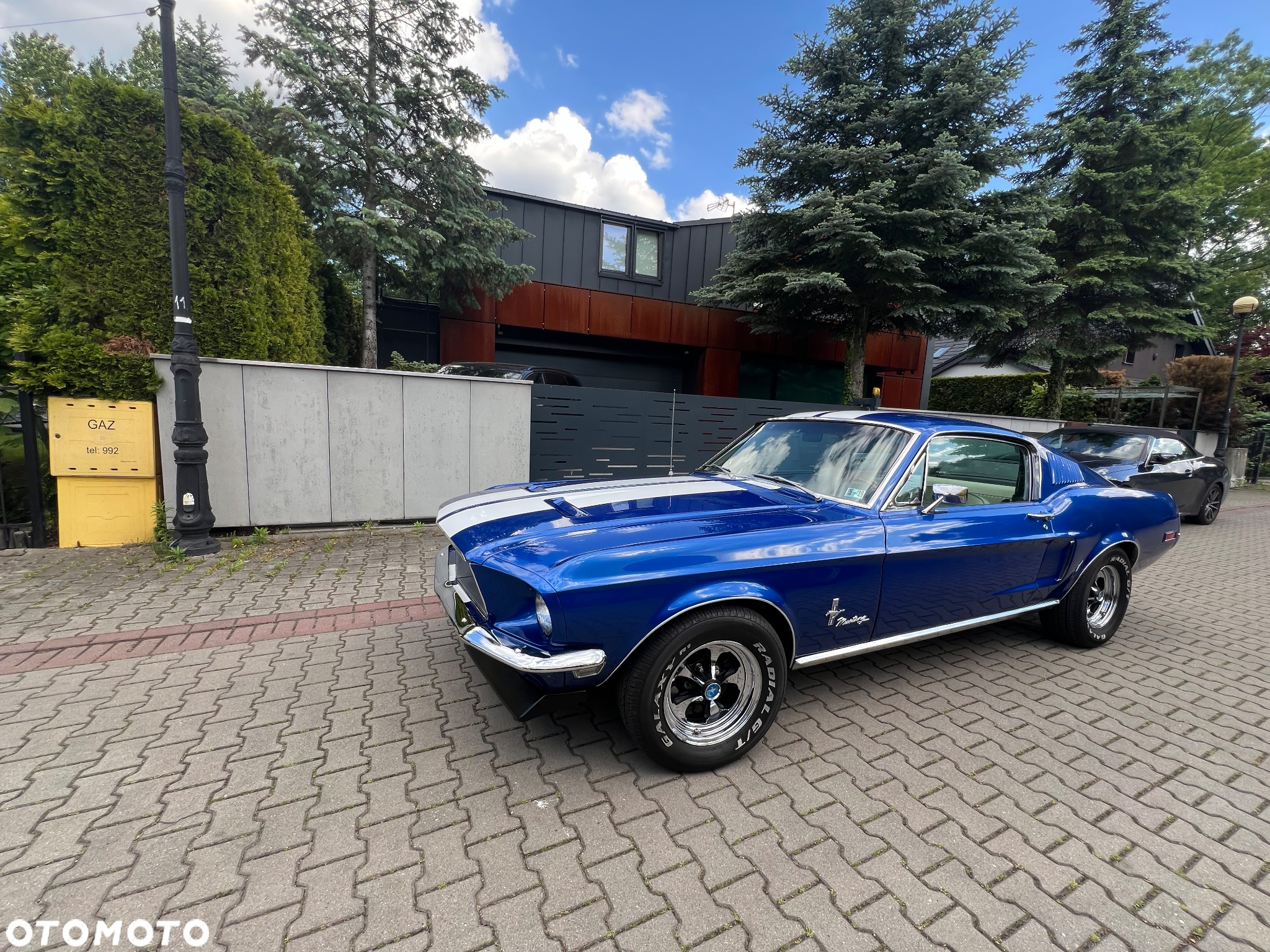 Ford Mustang - 19