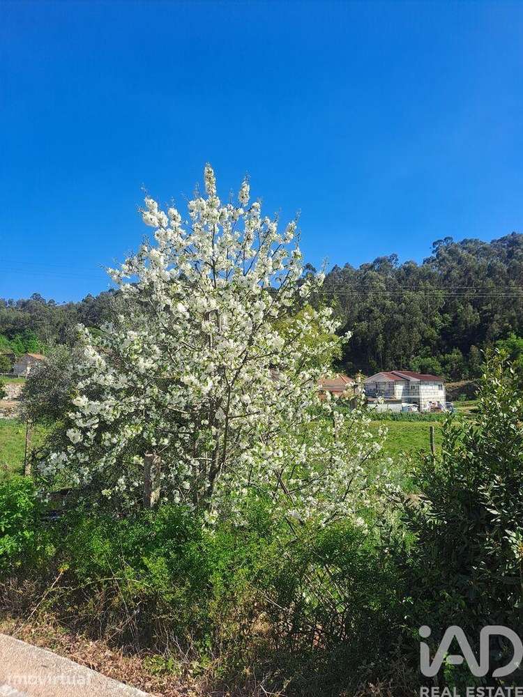 Terreno Agrícola em Bustelo - Grande imagem: 3/12