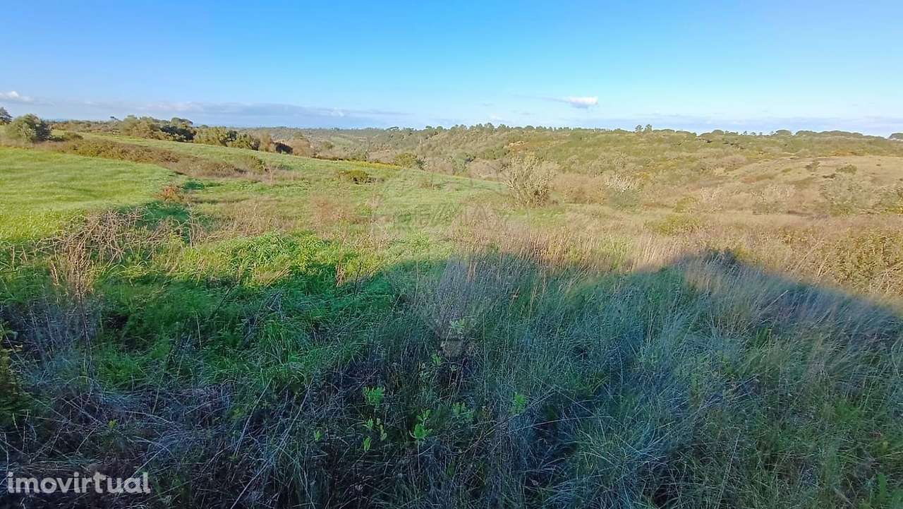 Terreno  para venda - Grande imagem: 3/4