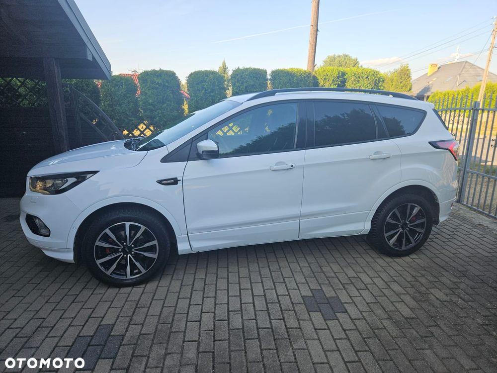Ford Kuga 2019 photo 3