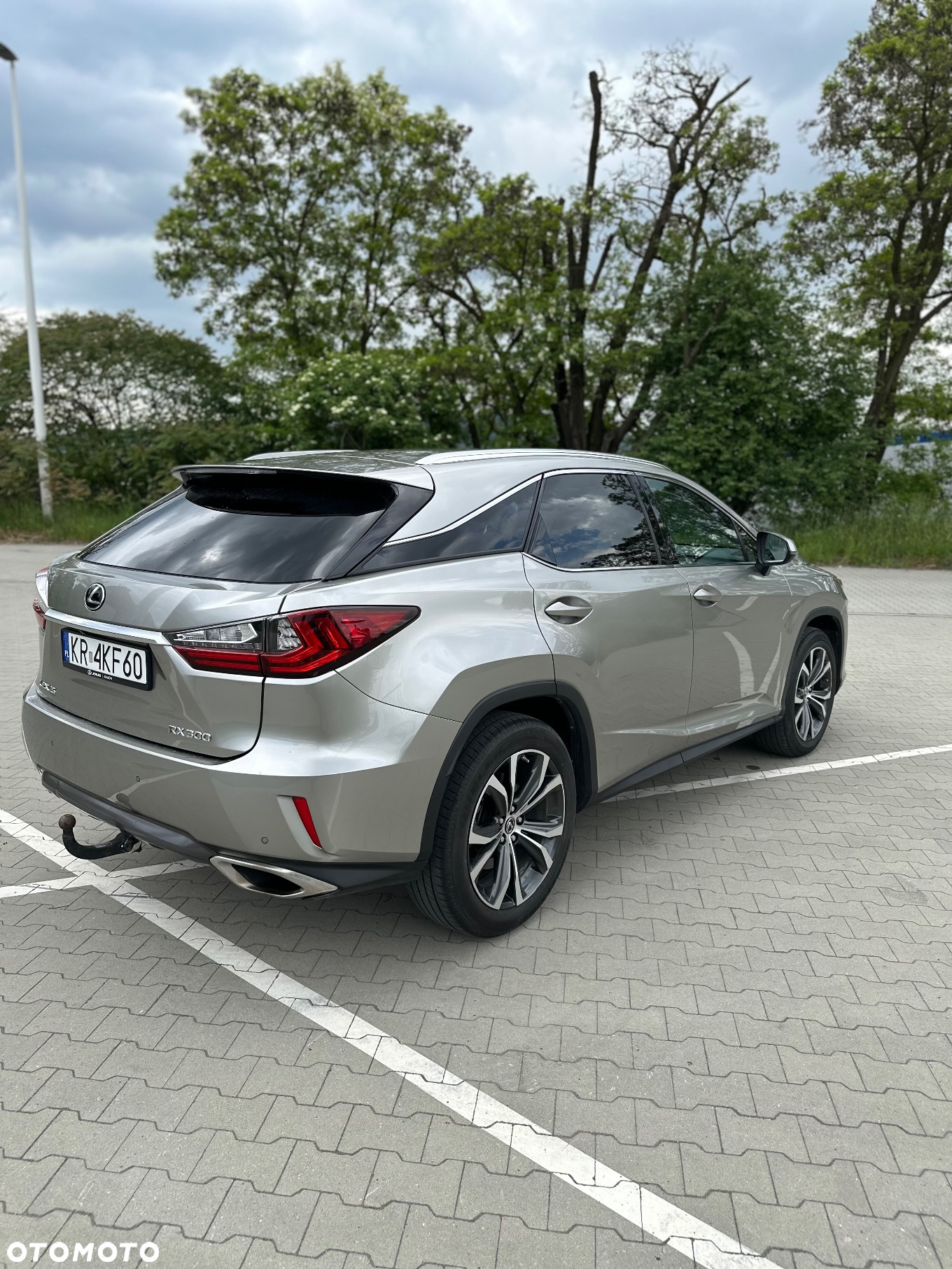 Lexus RX 200t / 300 Elegance - 17