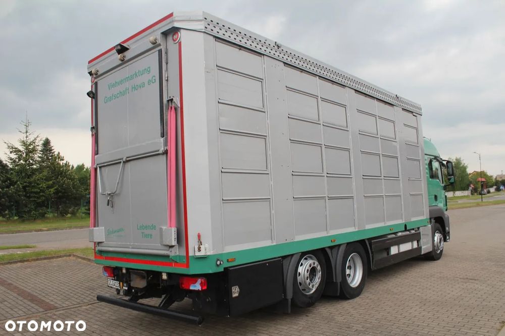 MAN TGS 26.440 DO ŻYWCA ZWIERZĄT BYDŁA Z NIEMIEC - 9