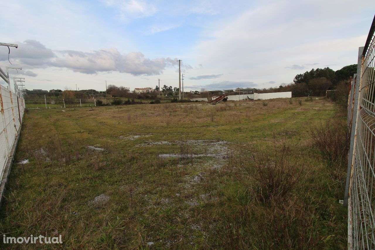 Terreno Vedado na Estrada Nacional - Grande imagem: 3/8