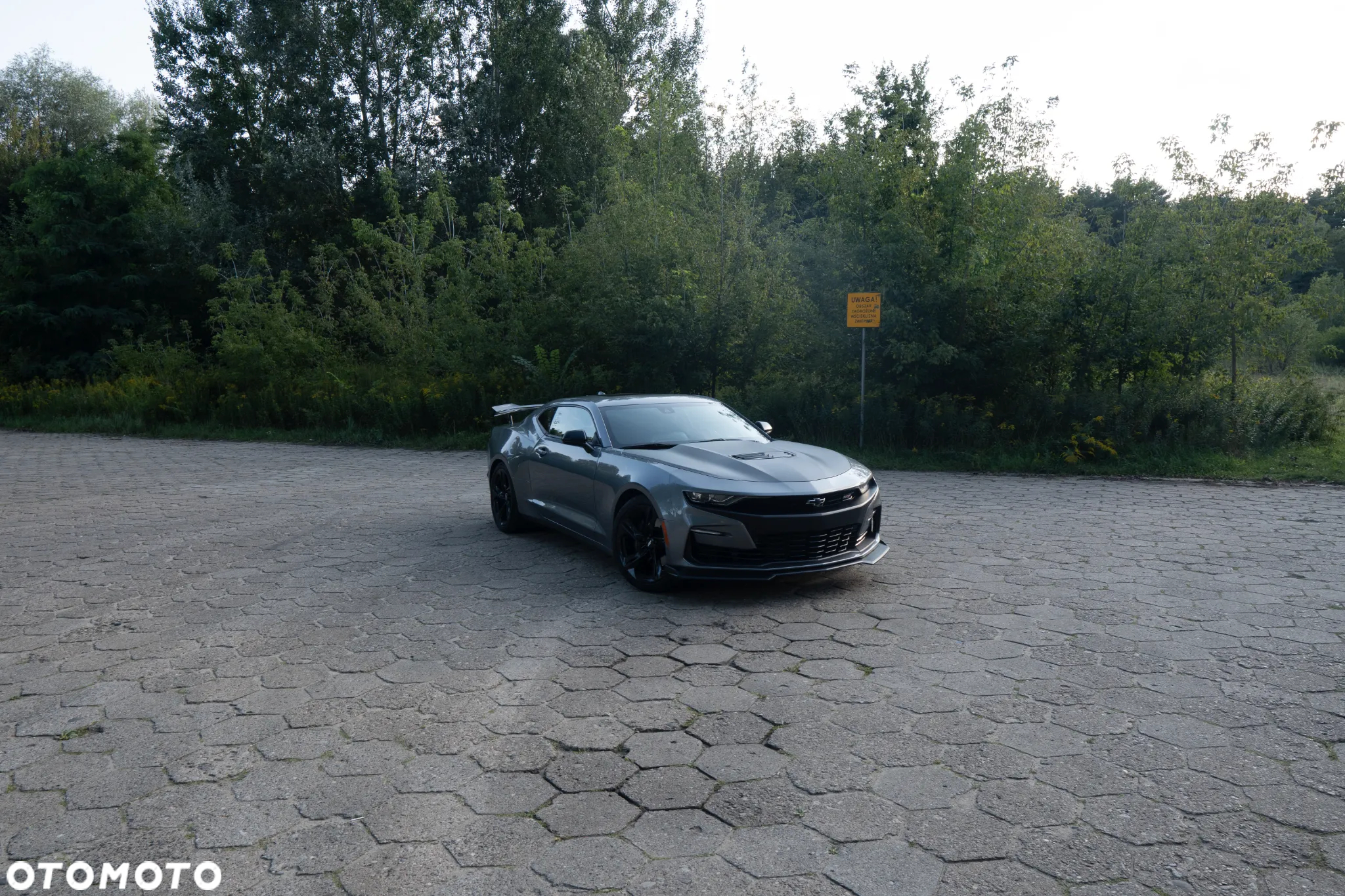 Chevrolet Camaro - 3