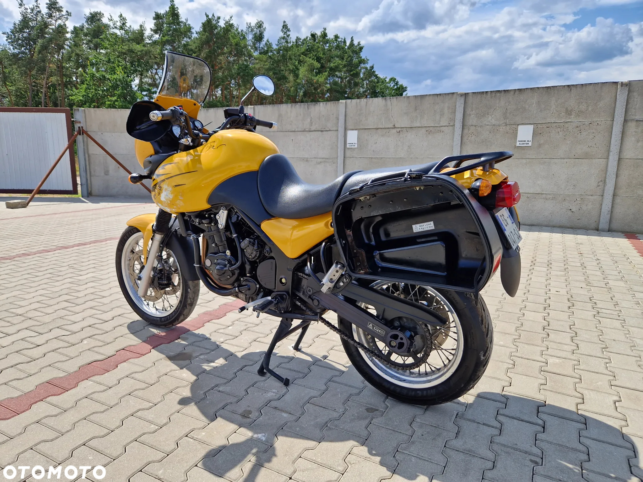 Triumph Tiger - 13