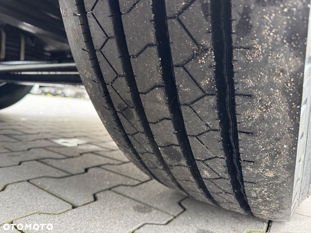 Scania P320 AdBlue bez EGR FURGON WINDA Import Francja - 21