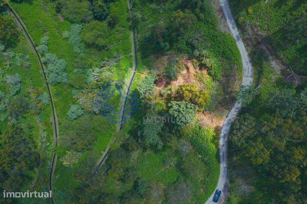 Terreno Rústico em Zona Natural e Agrícola — Freguesia de Santa Cruz, - Grande imagem: 4/15