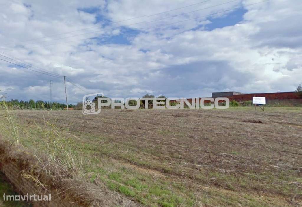 Terreno c/ 6.000m2 – Mamarrosa - Grande imagem: 3/6