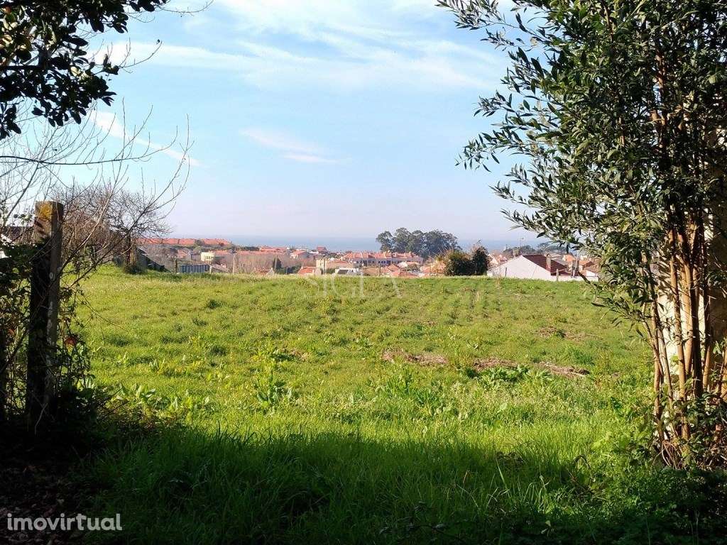 Terreno em Francelos - Grande imagem: 2/4