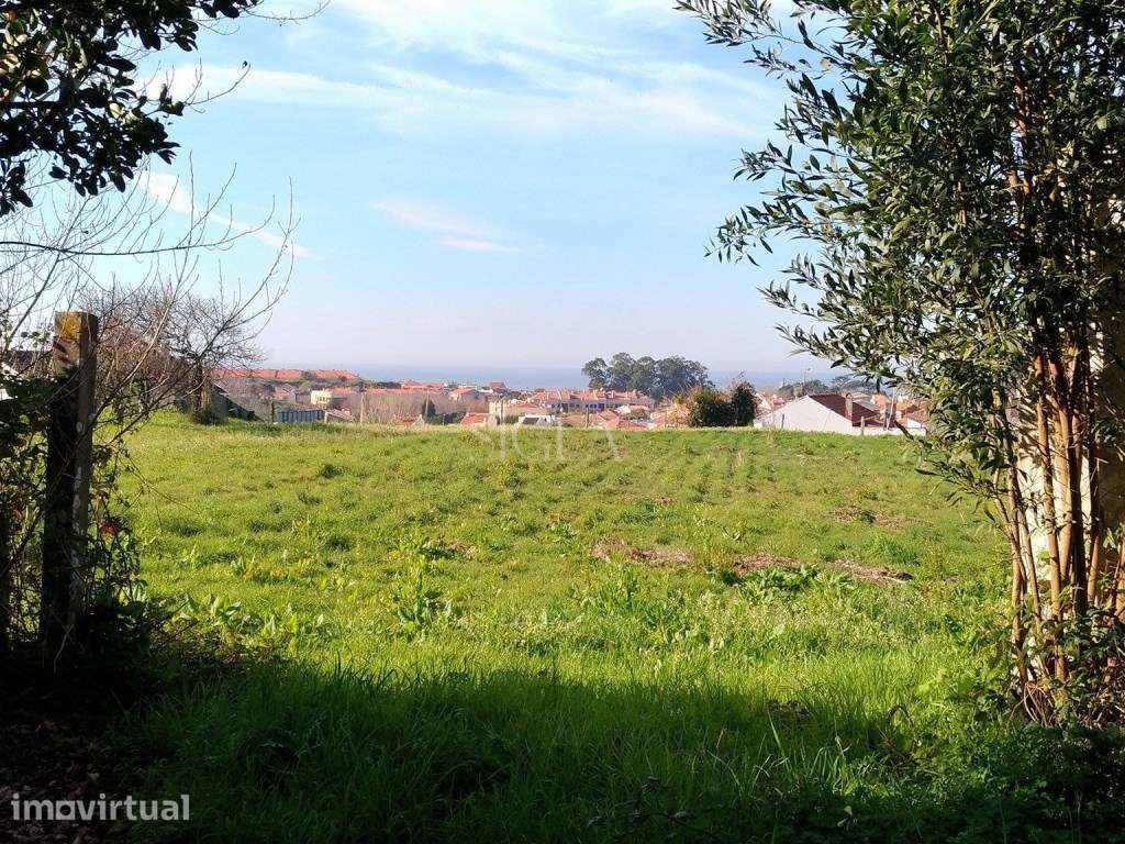 Terreno em Francelos - Grande imagem: 2/4