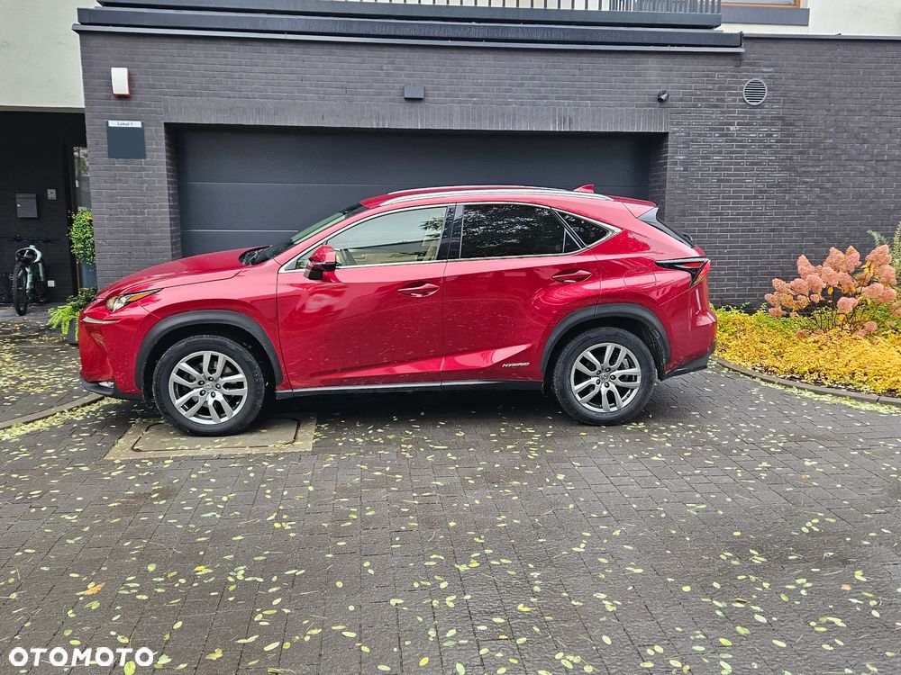 Lexus NX 300h Comfort AWD - 10