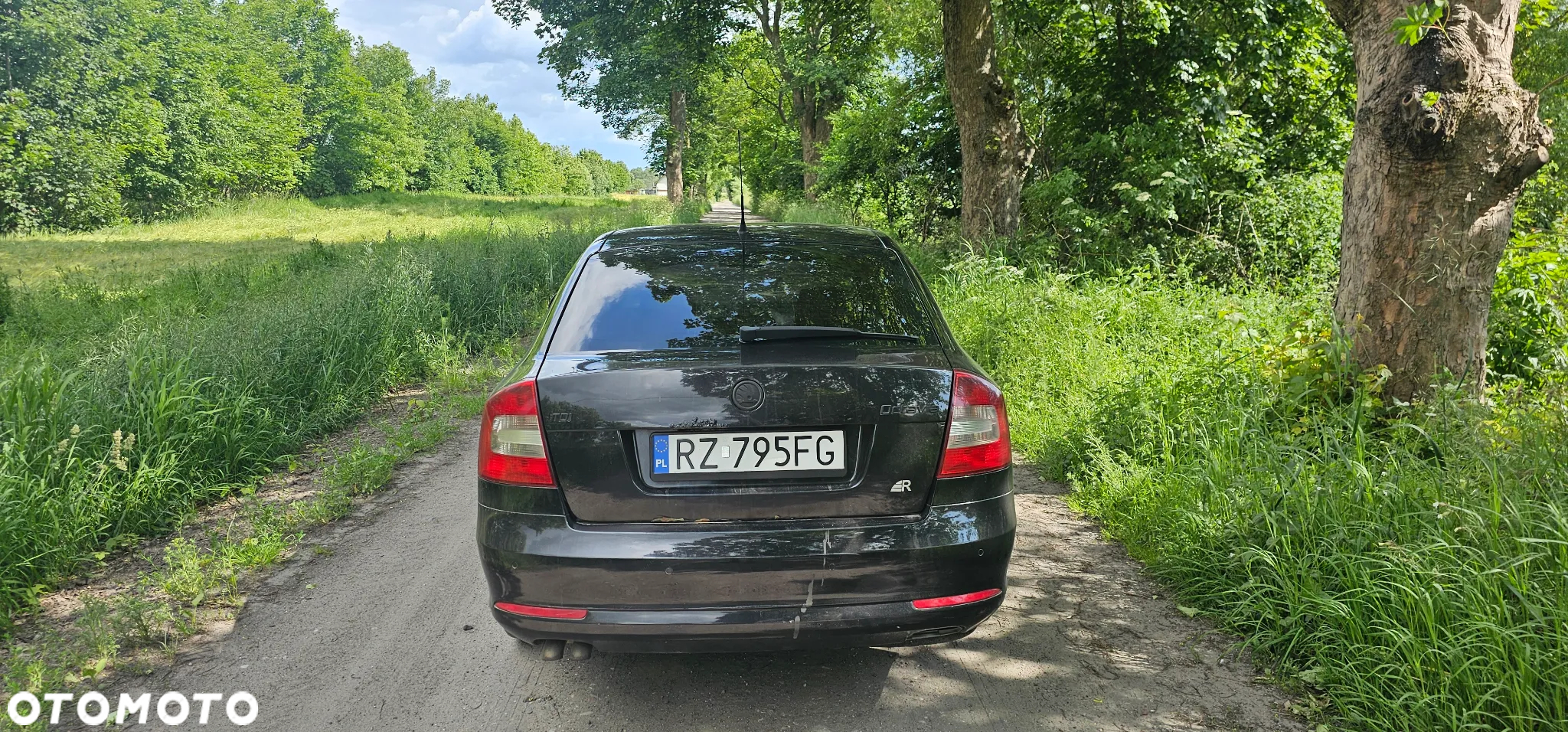 Skoda Octavia - 3