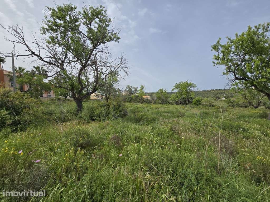Terreno para construção, Vale Santa Maria, Albufeira, Algarve. - Grande imagem: 2/20