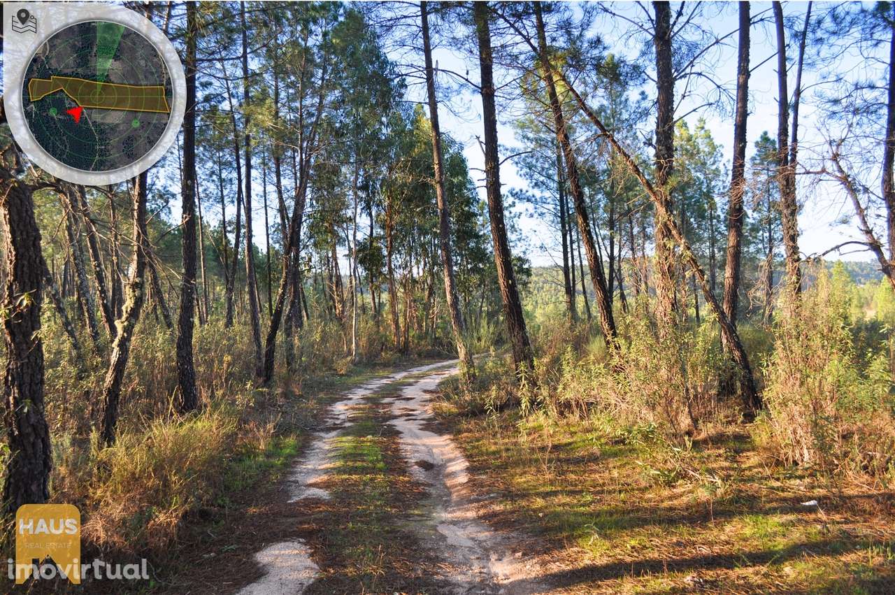 Terreno com 26.000 m² à venda em Castelo Branco. - Grande imagem: 3/23
