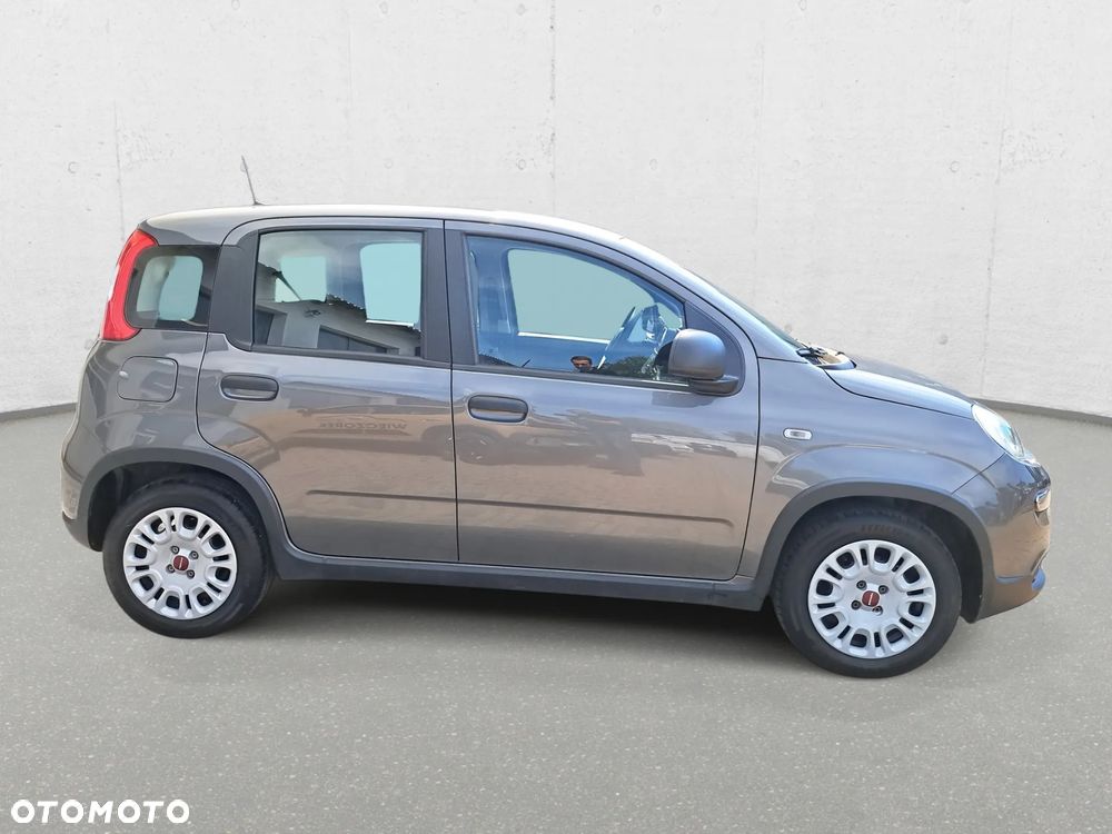 Fiat Panda - 5