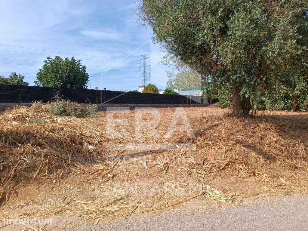 Terreno para venda em Alcanhões - 1.000m² - Grande imagem: 5/6