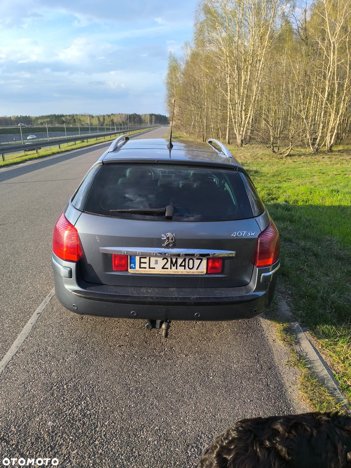 Peugeot 407 2.0 HDI Sport - 3