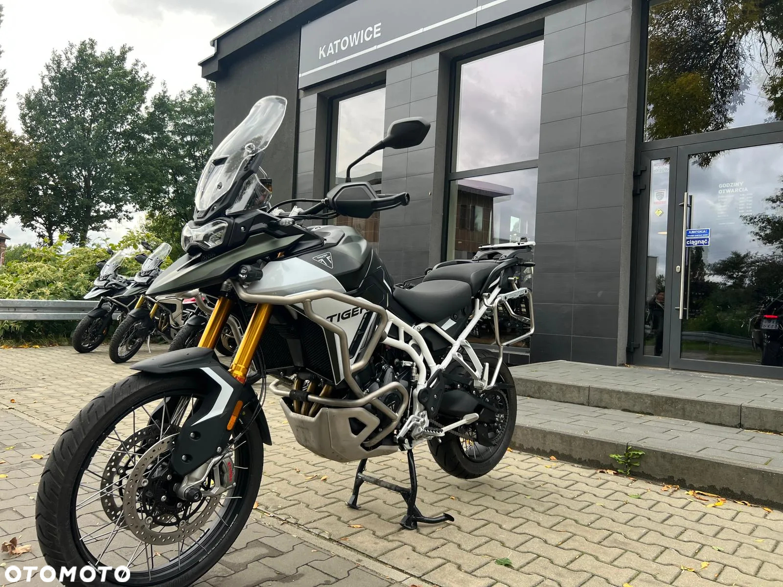 Triumph Tiger
