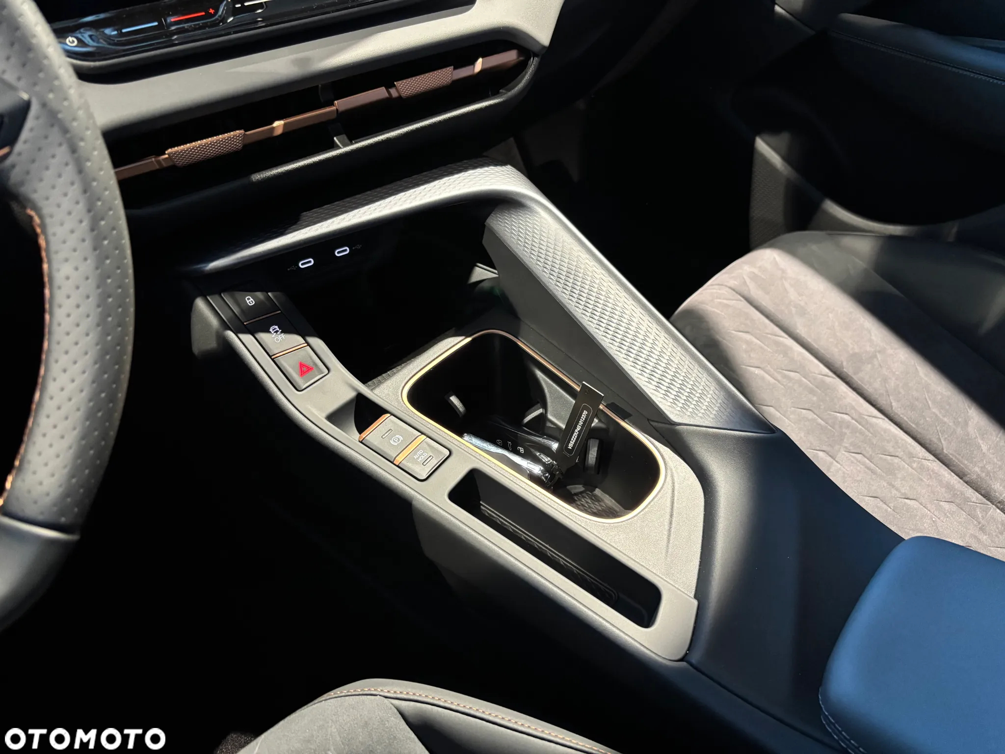 Cupra Terramar - 11