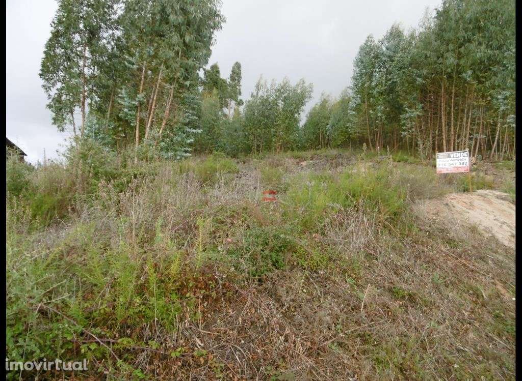 Lote de terreno em zona calma - Grande imagem: 4/7