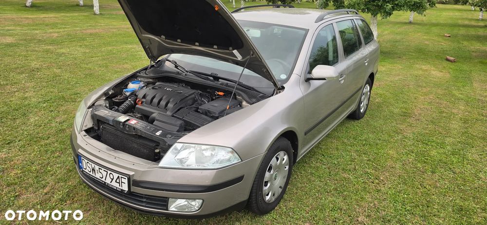 Skoda Octavia 1.9 TDI Elegance DSG - 29