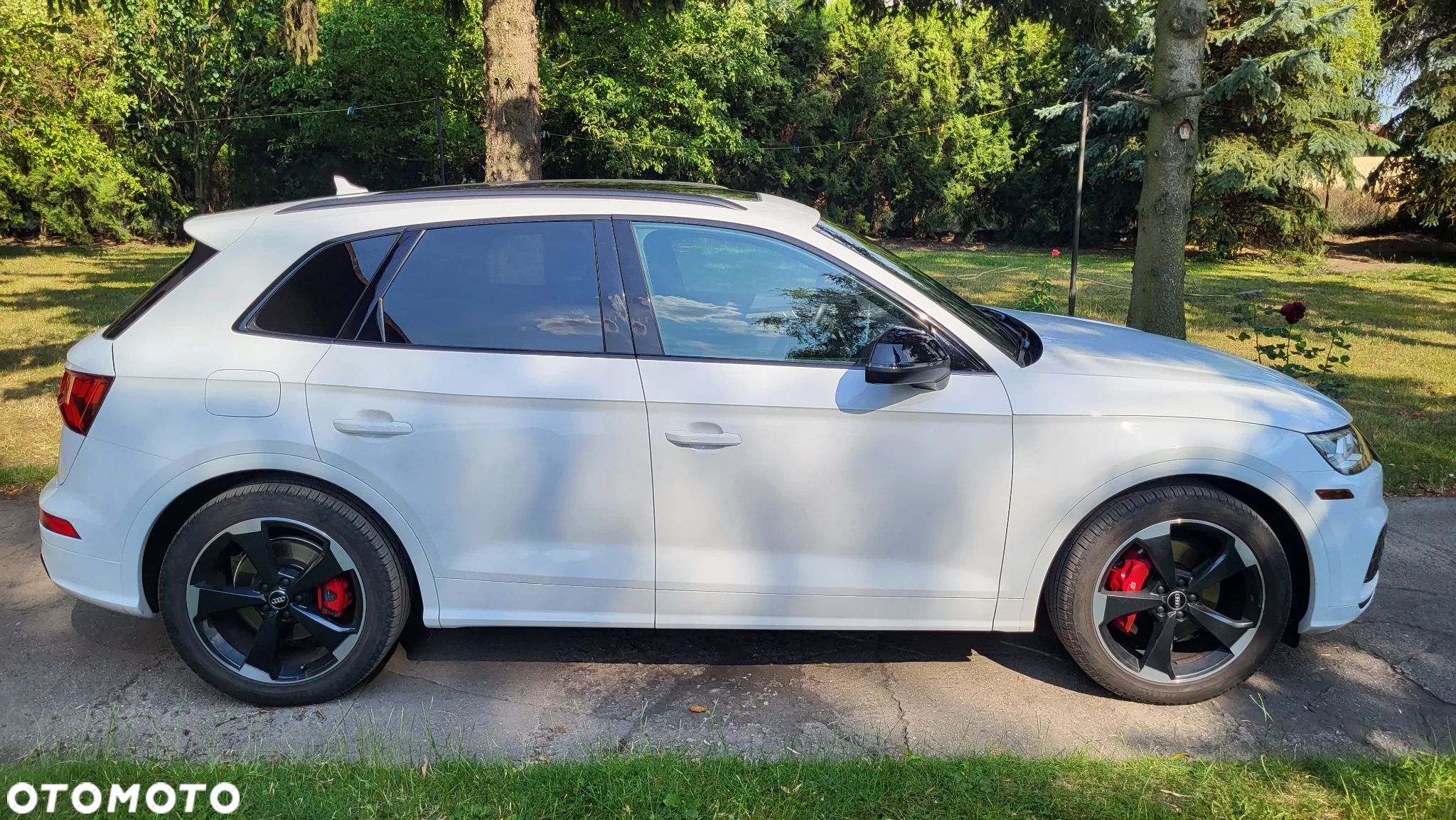 Audi SQ5 3.0 TFSI Quattro Tiptronic - 1