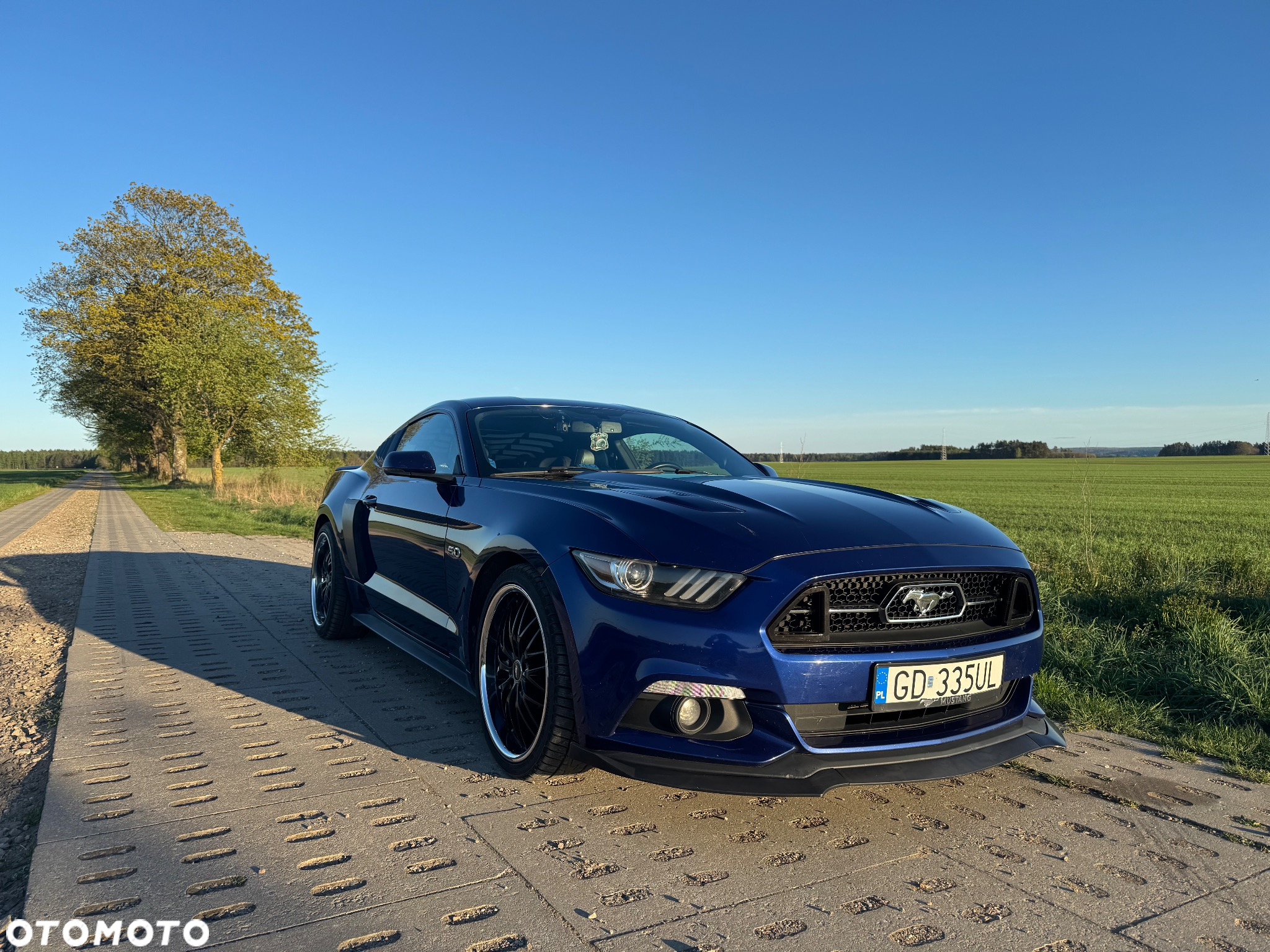 Ford Mustang 5.0 V8 GT - 26