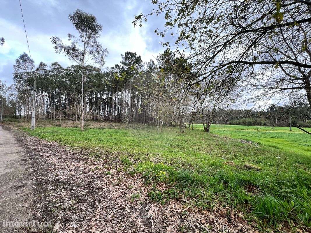 Terreno  para venda - Grande imagem: 3/12