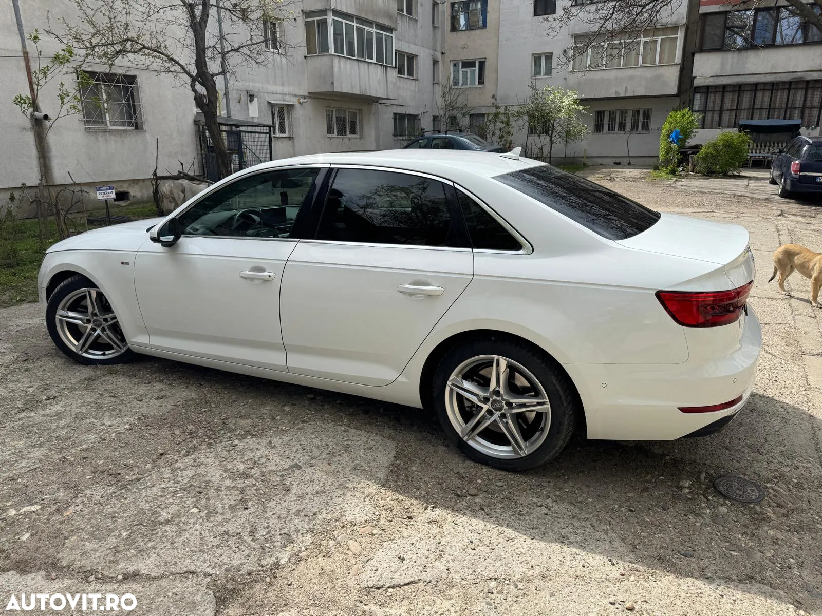 Audi A4 3.0 TDI Quattro Tiptronic sport - 13