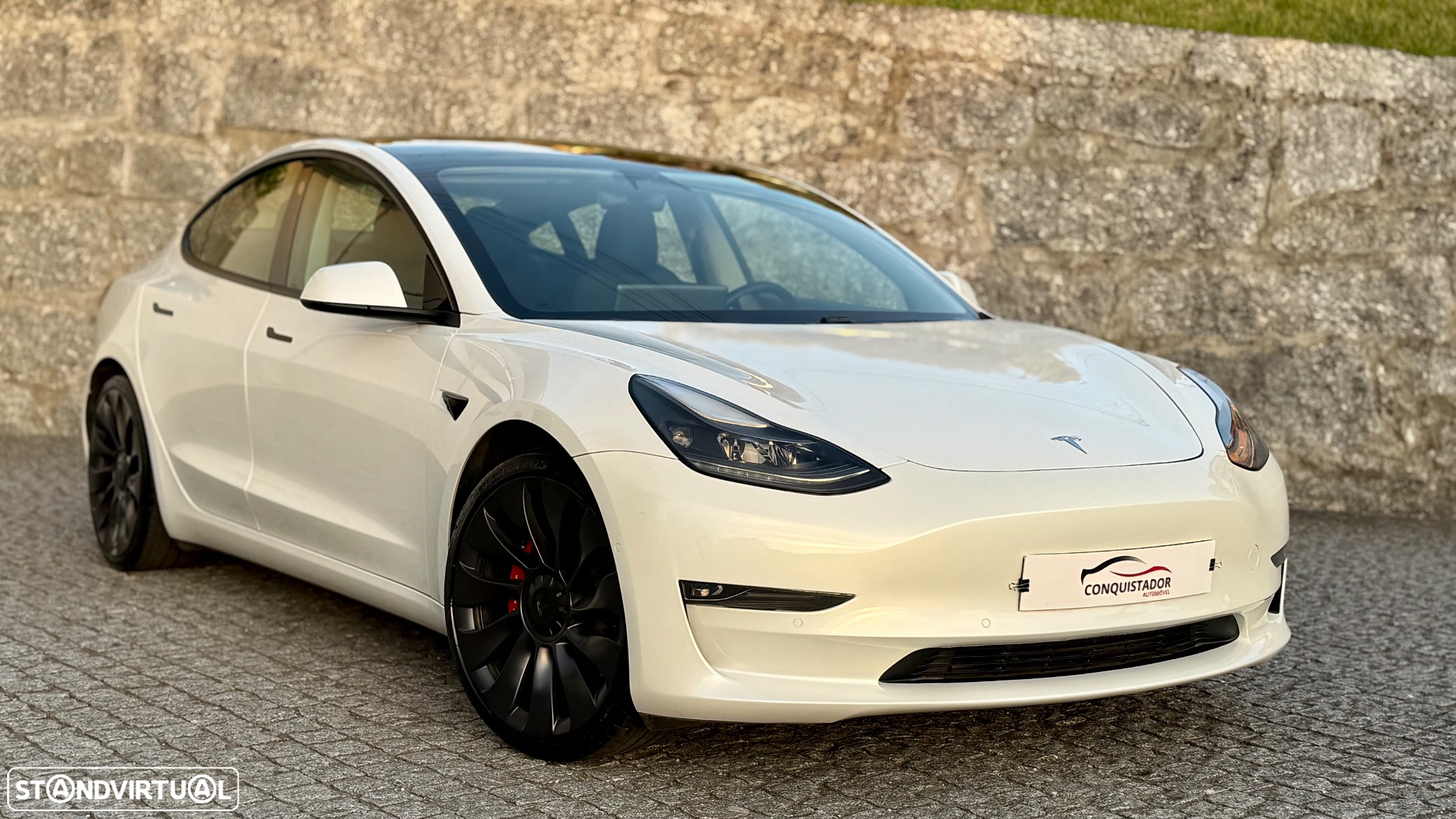 Tesla Model 3 Performance Dual Motor AWD - 21