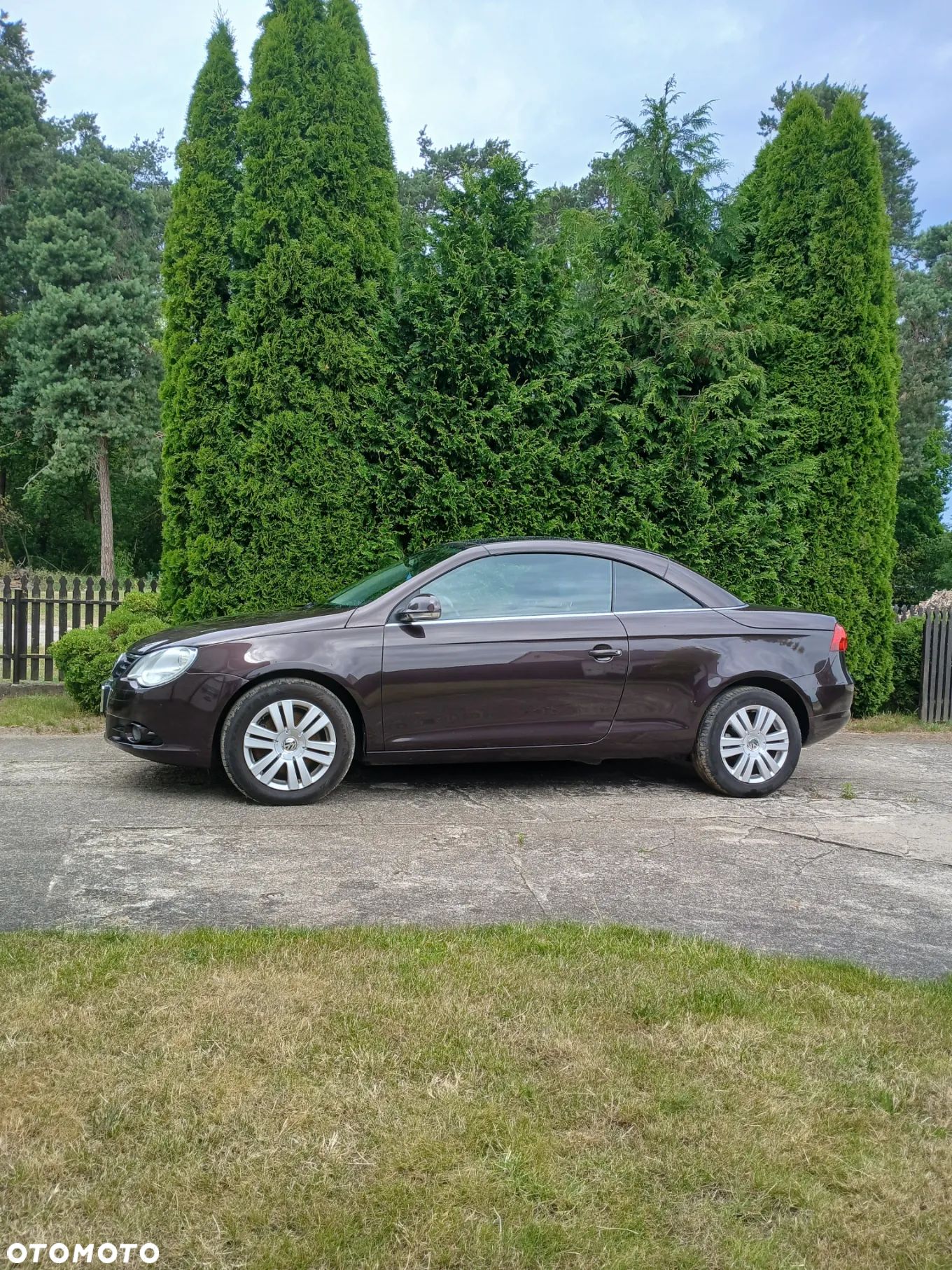 Volkswagen Eos 2.0 TDI DPF - 1