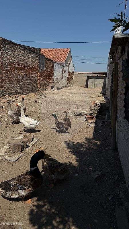 Terreno  para venda - Grande imagem: 2/3
