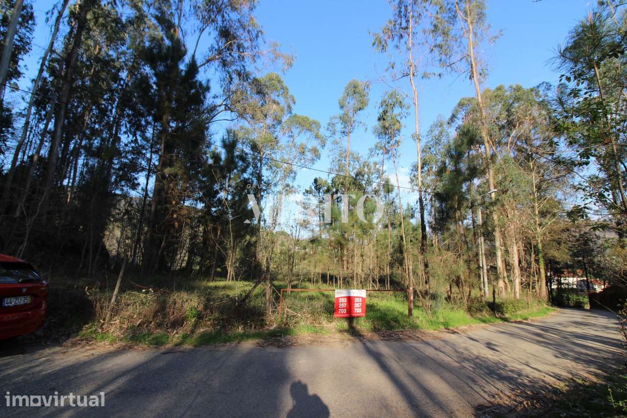 CARREIRAS S. MIGUEL-VILA VERDE (TERRAS DE PENEGATE) - Grande imagem: 3/6