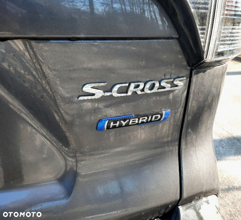Suzuki S-Cross - 9