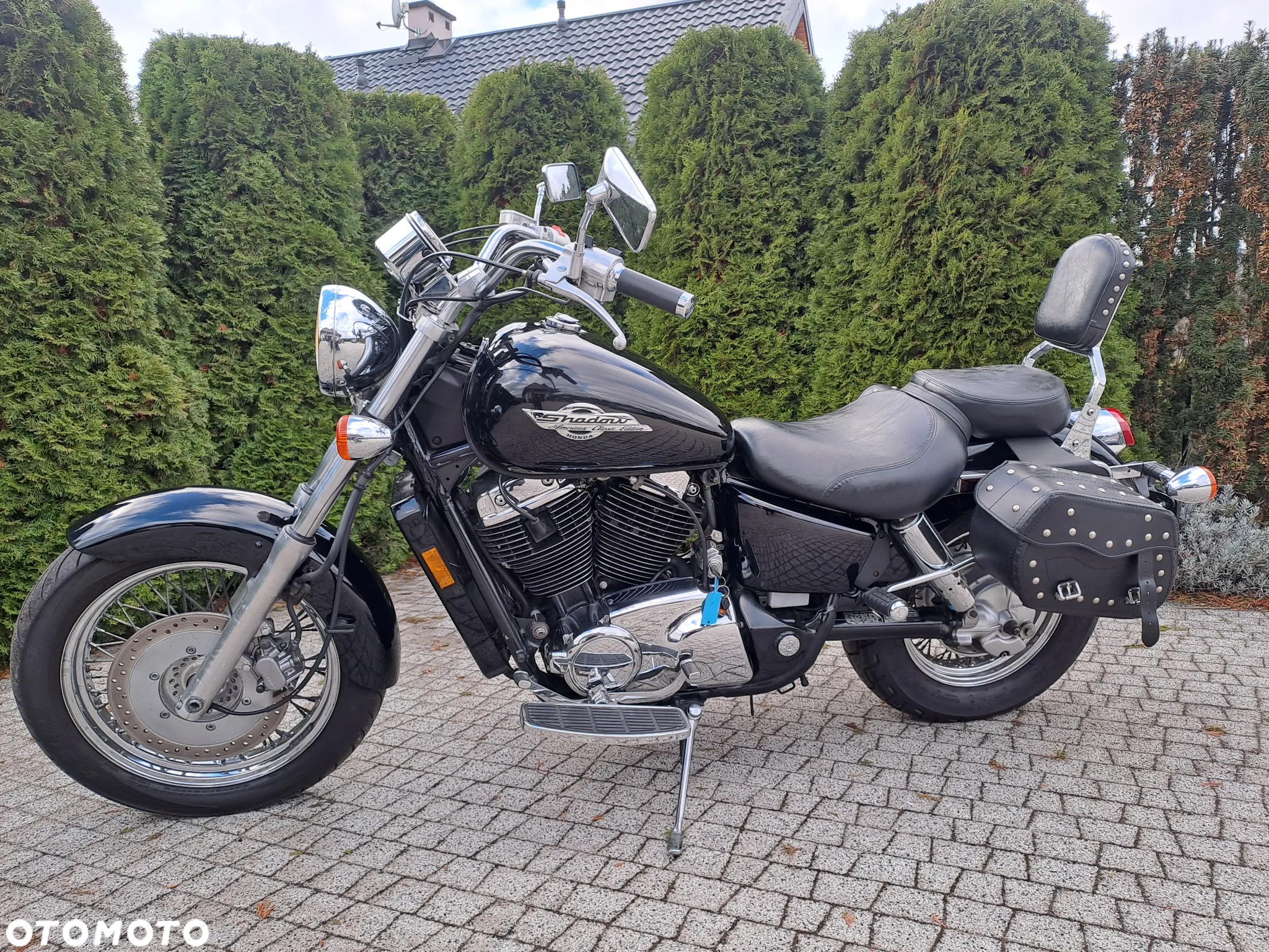 Honda Shadow - 4