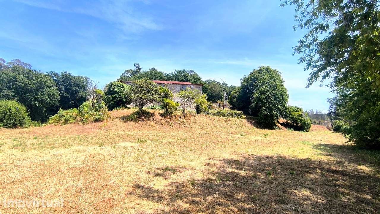 Quinta com 19000 m2 nas margens do Douro - Grande imagem: 3/28