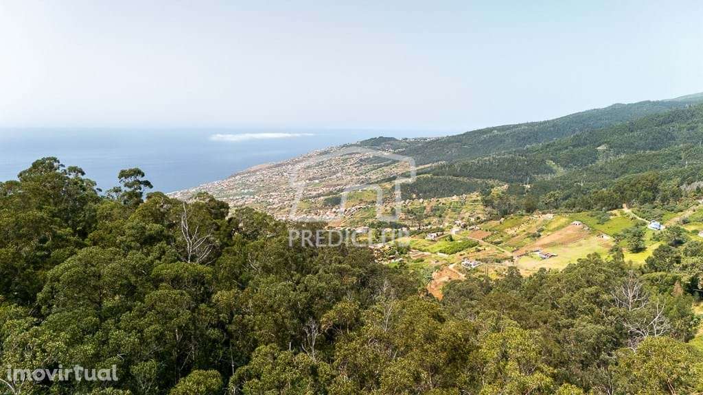 Moradia T2 - Calheta - Grande imagem: 3/15