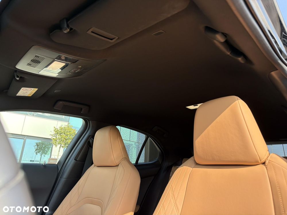 Lexus UX 250h GPF F Sport Design 2WD - 31