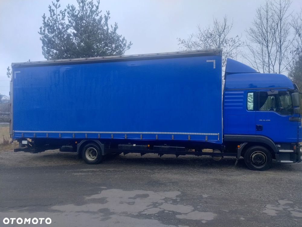 MAN TGL 12.250 - 2