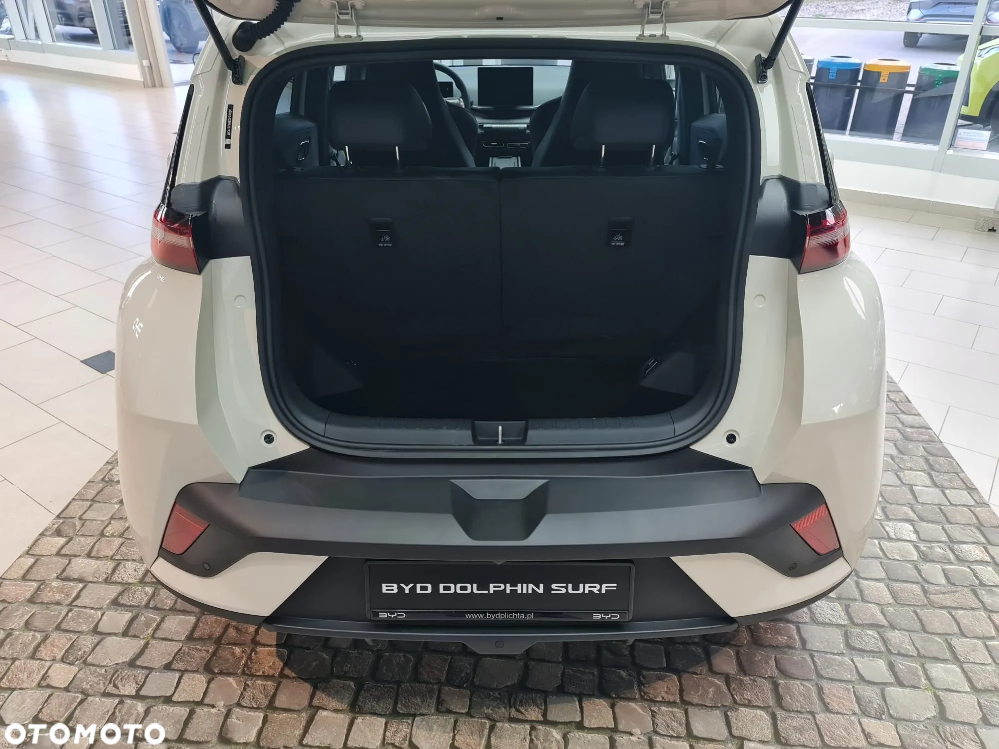 BYD Dolphin Surf - 24