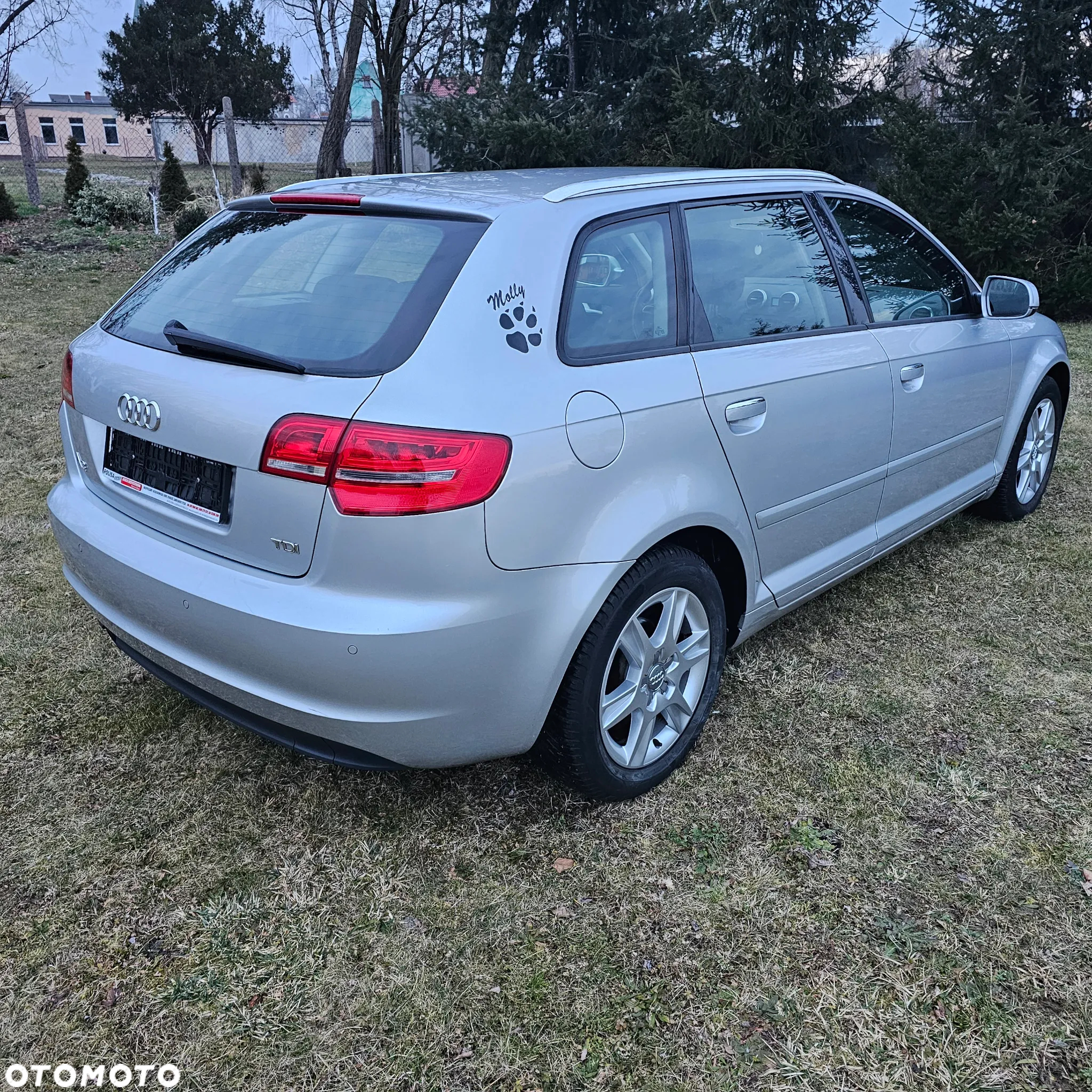 Audi A3 1.6 TDI Ambition S tronic - 6