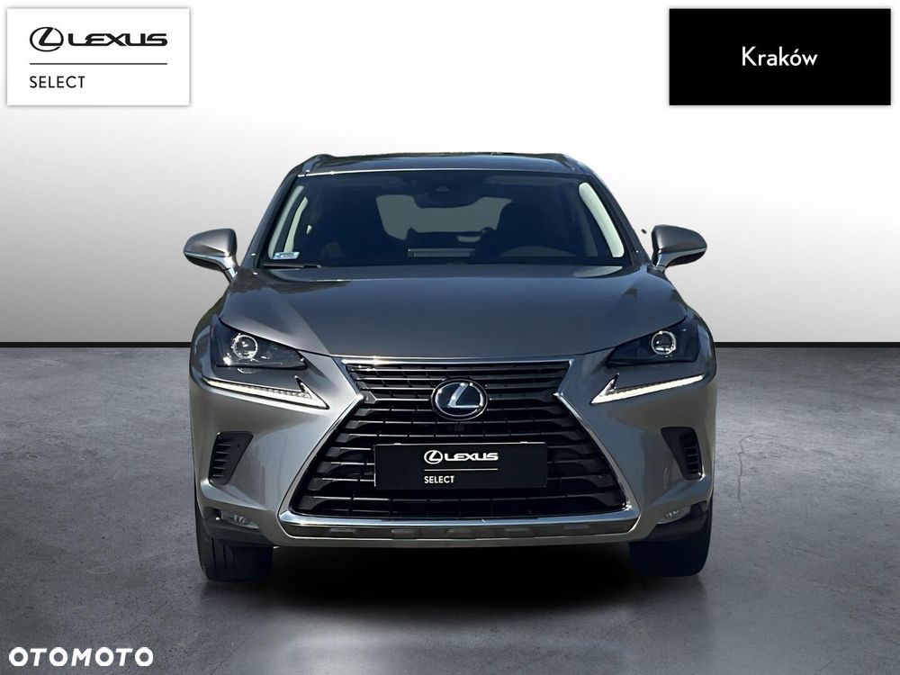 Lexus NX 300h Business Edition AWD - 8