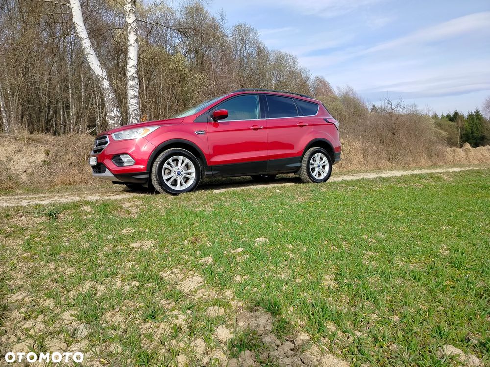 Ford Escape - 5