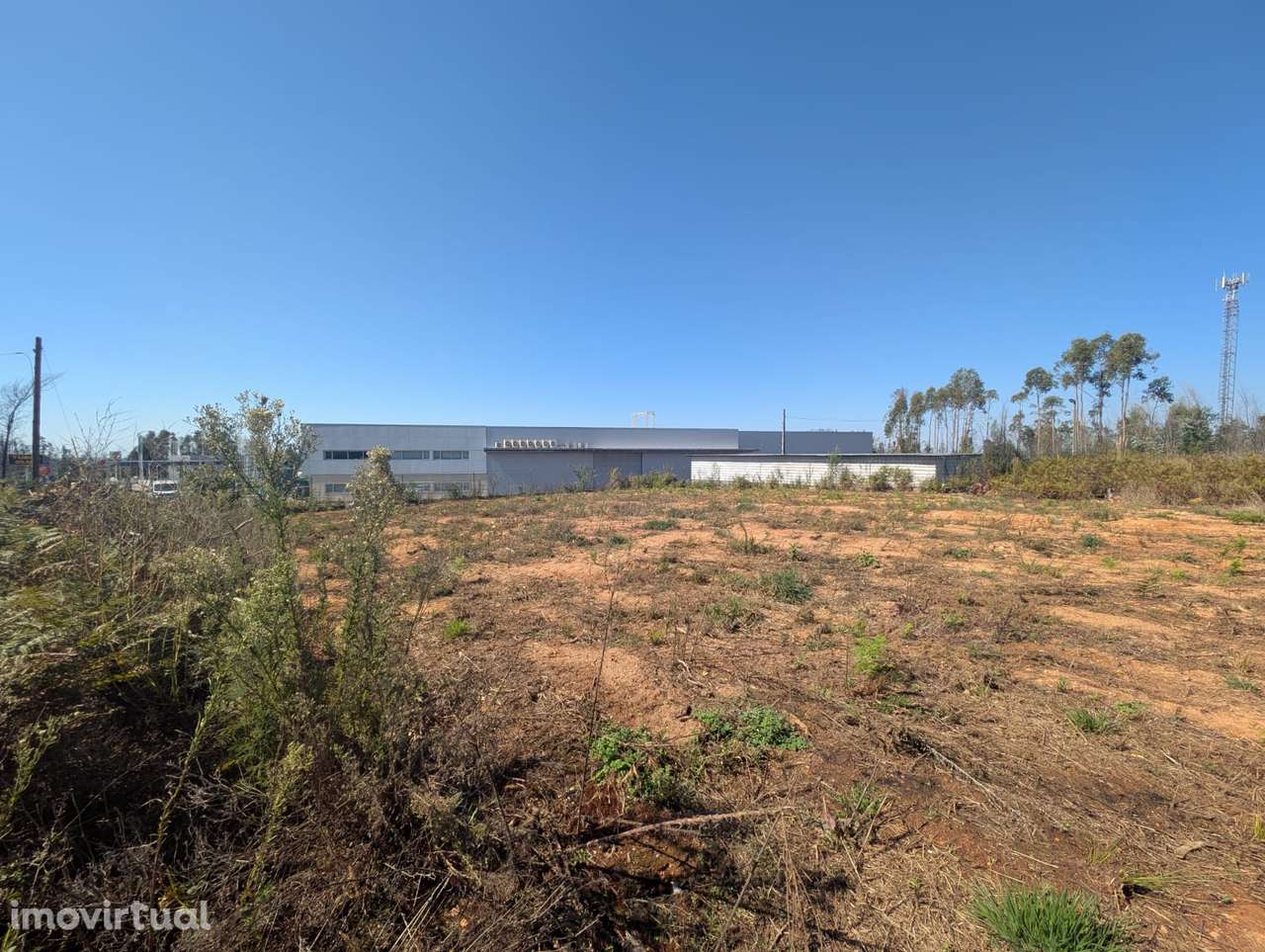 Terreno em Albergaria-a-Velha - Grande imagem: 5/6