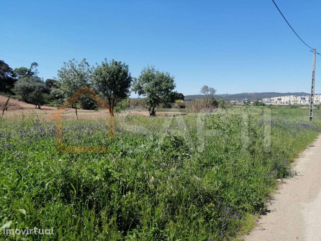 Terreno com 3500m2 em Loures - Grande imagem: 3/6