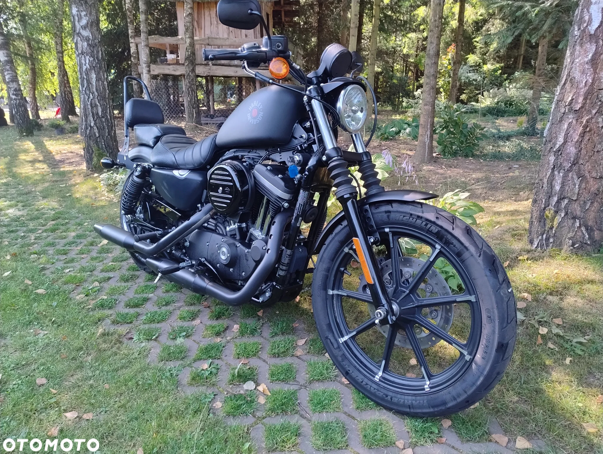 Harley-Davidson Sportster Iron 883 - 6