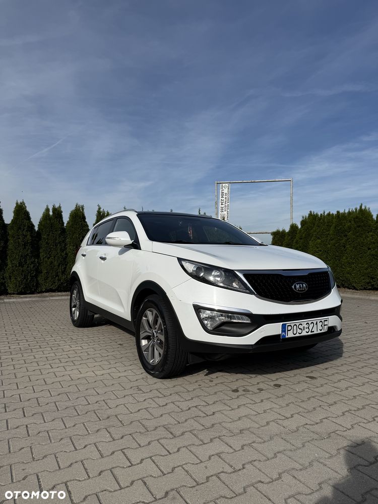 Kia Sportage - 3